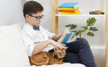 Chat