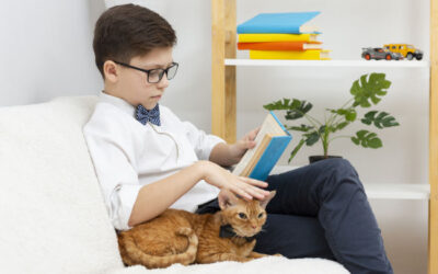 Chat