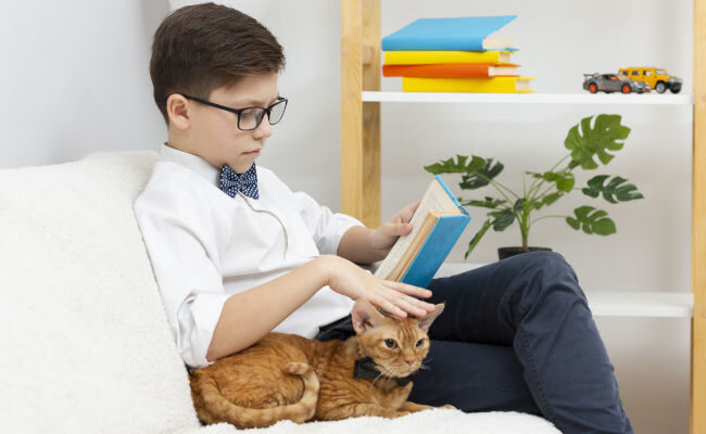 Chat