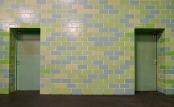 carrelage mural