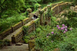 le jardin des fées
