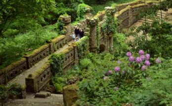 le jardin des fées