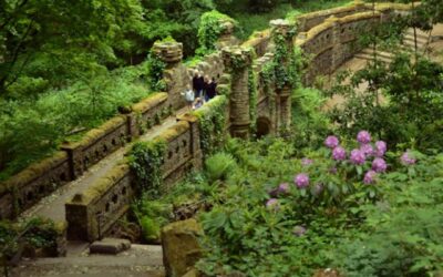 le jardin des fées